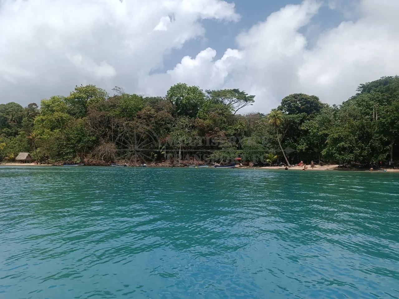 Imagen de Tour Playa Venas Azules, Colón