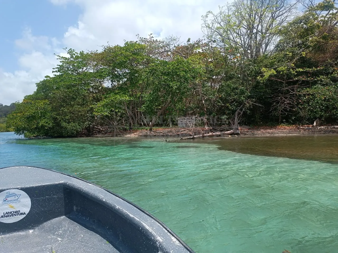 Imagen de Tour Playa Venas Azules, Colón